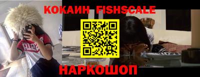 гидра Будённовск