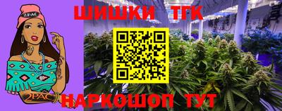 гидра Будённовск