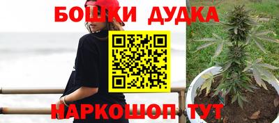 гидра Будённовск