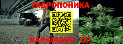 гидра Будённовск