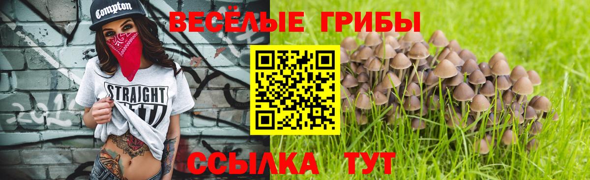 Галлюциногенные грибы прущие грибы  Галлюциногенные грибы ЛСД  Спасск-Дальний  Вход с VPN 